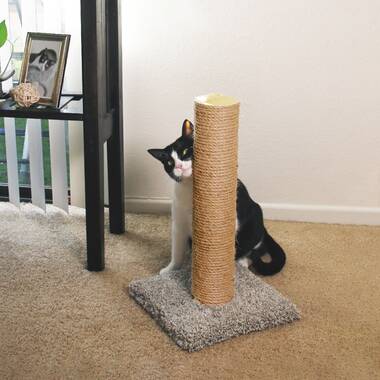 Classy kitty shop scratching post